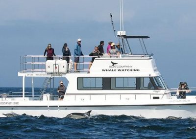 Simon’s Town Boat Company