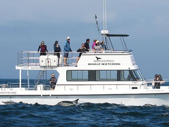 Simon’s Town Boat Company