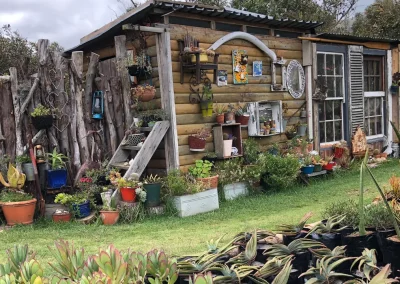 The Scone Shack