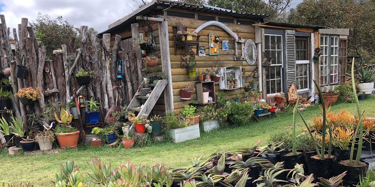 The Scone Shack