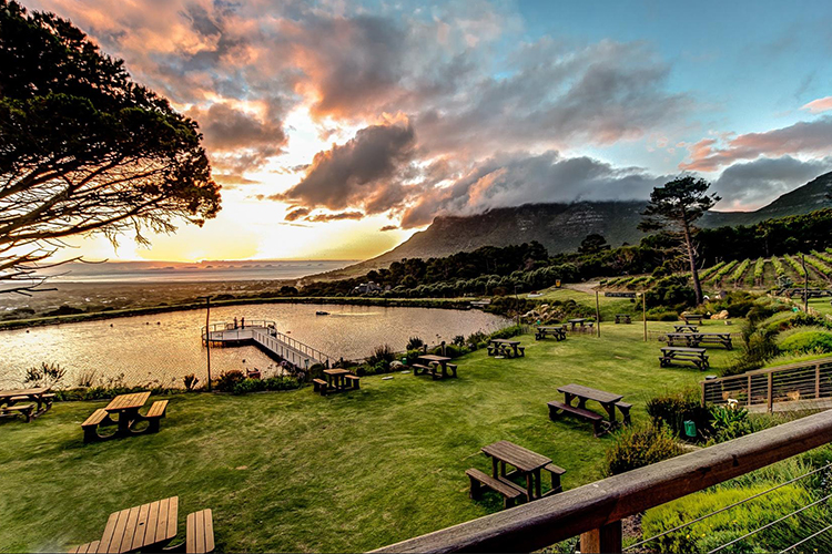 Cape Point Vineyards